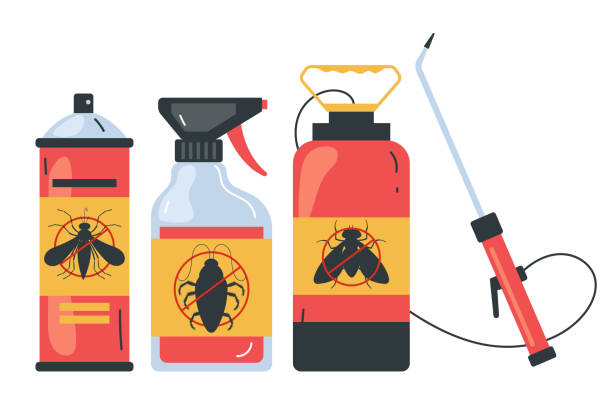 Wasp Removal Services in Seaford, DE